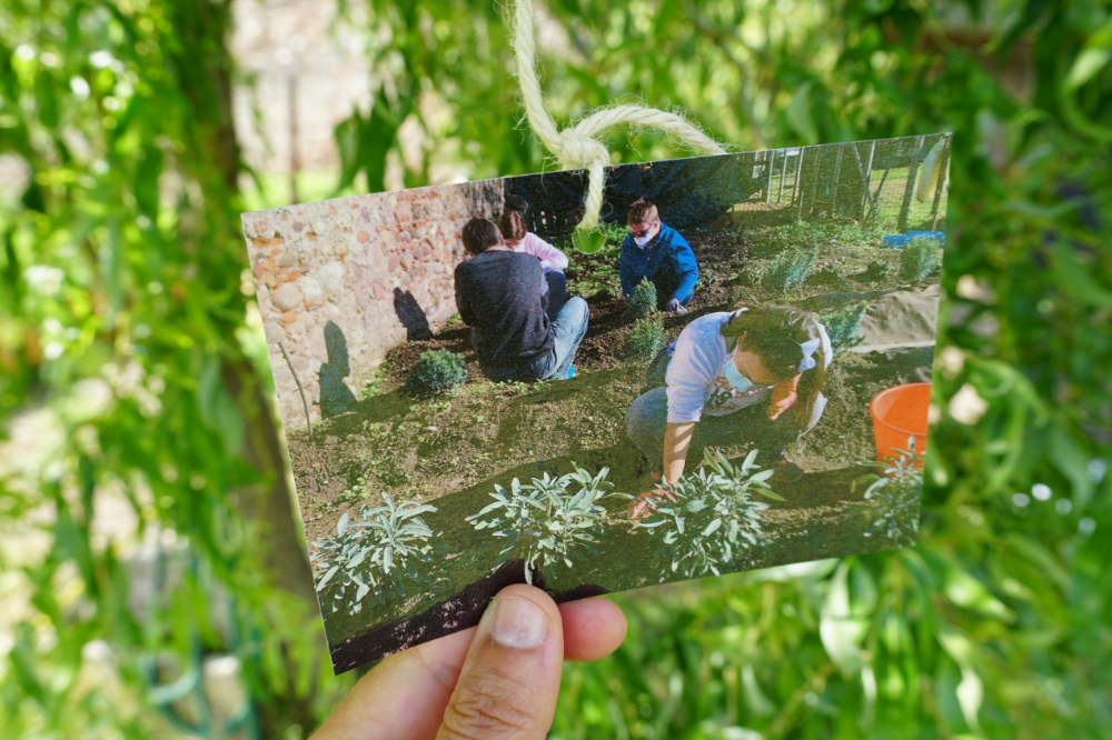 fotografia di un'attività di giardinaggio